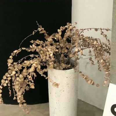 兽设雨夜场景绘制Furry群